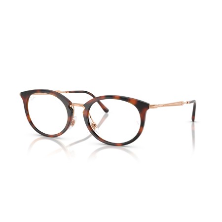 Ray-Ban RX 7255 (5687) - RB 7255 5687