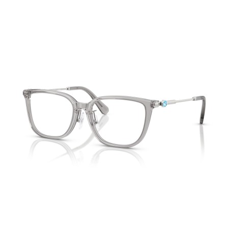 Swarovski SK 2041D (1069)