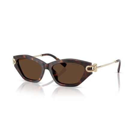 Tiffany TF 4231U (80153G)