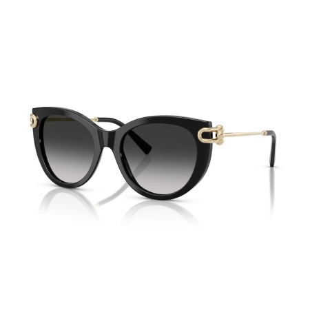 Tiffany TF 4232 (80013C)