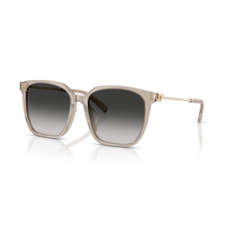 Tiffany TF 4244D (82503C)