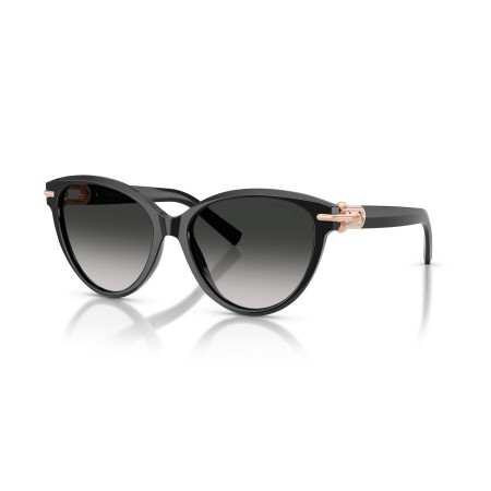 Tiffany TF 4261 (80013C)