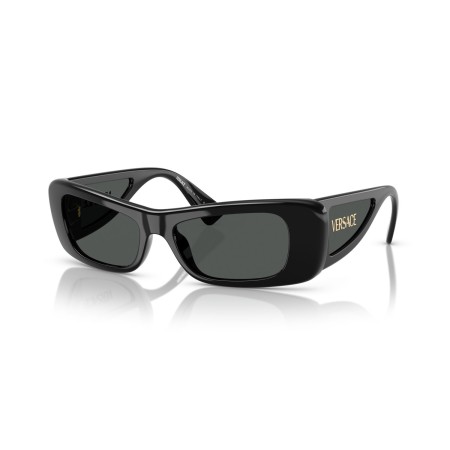 Versace VE 4481 (GB1/87)