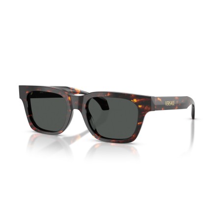 Versace VE 4486 (550987)