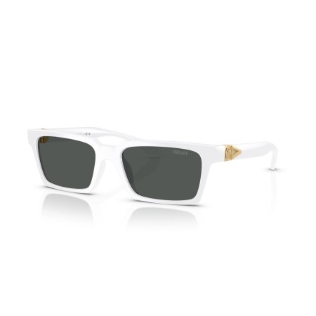 Versace VE 4490U (314/87)