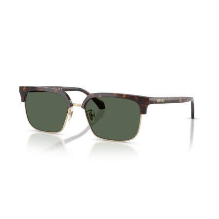 Versace VE 4494D (108/71)
