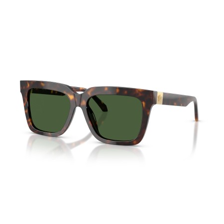 Versace VE 4498 (108/71)