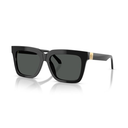 Versace VE 4498 (GB1/87)