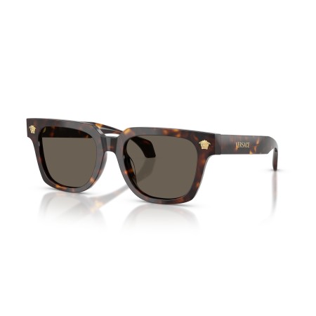 Versace VE 4510U (108/3)