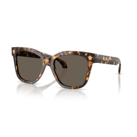 Versace VE 4511 (5514/3)