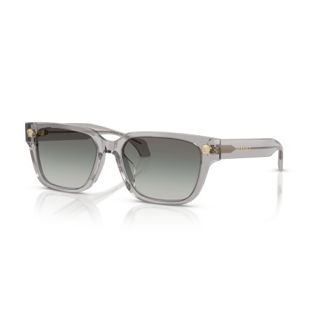 Versace VE 4513D (593/11)