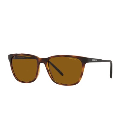 Arnette Cortex AN 4291 (277083)