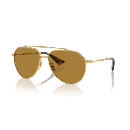 Dolce & Gabbana DG 2302 (02/53)
