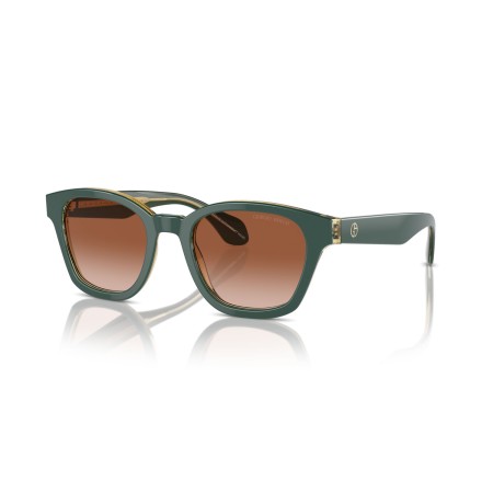 Giorgio Armani AR 8207 (608613)