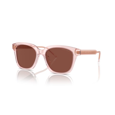 Giorgio Armani AR 8210U (6073C5)