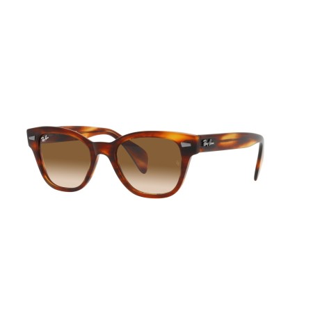 Ray-Ban RB 0880S (954/51)