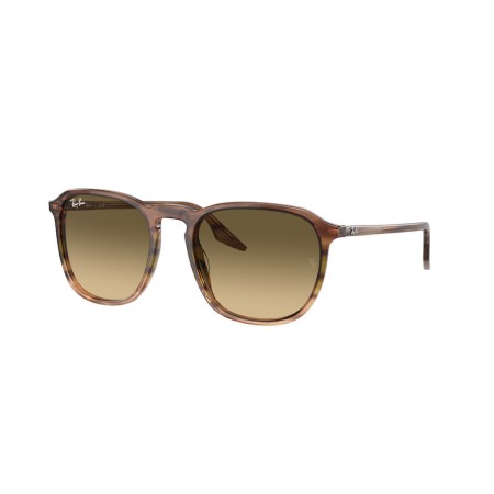 Ray-Ban RB 2203 (13920A)
