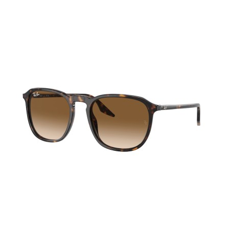 Ray-Ban RB 2203 (902/51)
