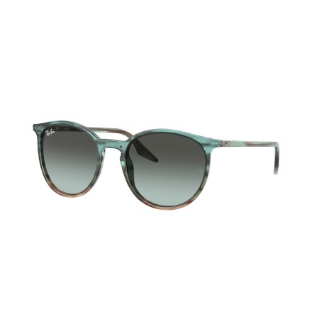 Ray-Ban RB 2204 (1394GK)