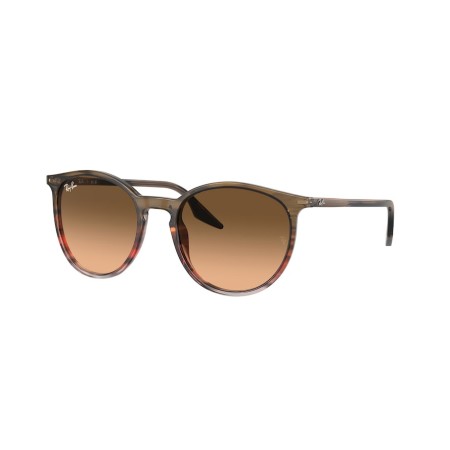 Ray-Ban RB 2204 (13953B)
