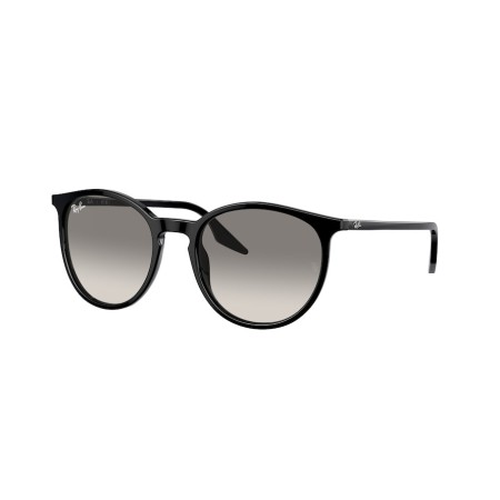 Ray-Ban RB 2204 (901/32)