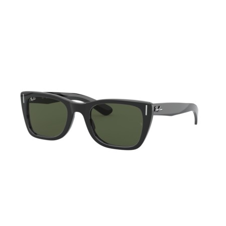 Ray-Ban Caribbean Legend Gold RB 2248 (901/31)