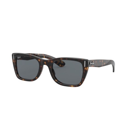 Ray-Ban Caribbean RB 2248 (902/R5)