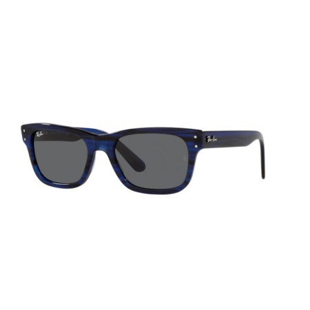 Ray-Ban Mr burbank RB 2283 (1339B1)