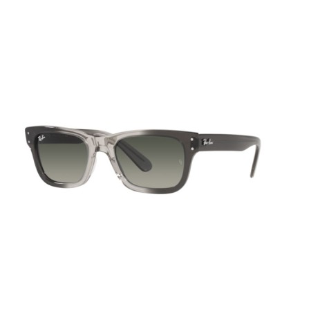 Ray-Ban Mr burbank RB 2283 (134071)