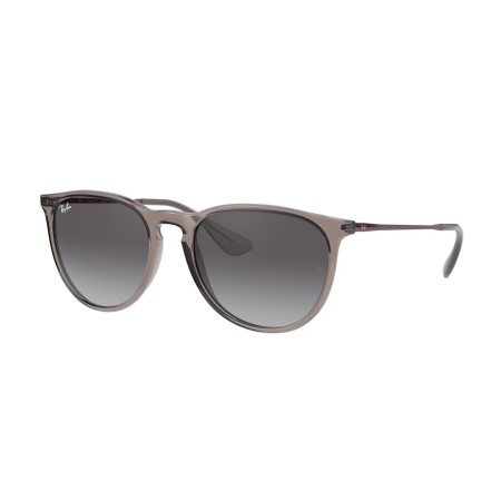 Ray-Ban Erika Color Mix RB 4171 (65138G)