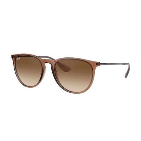 Ray-Ban Erika Color Mix RB 4171 (651413)
