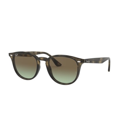 Ray-Ban RB 4259 (731/E8)