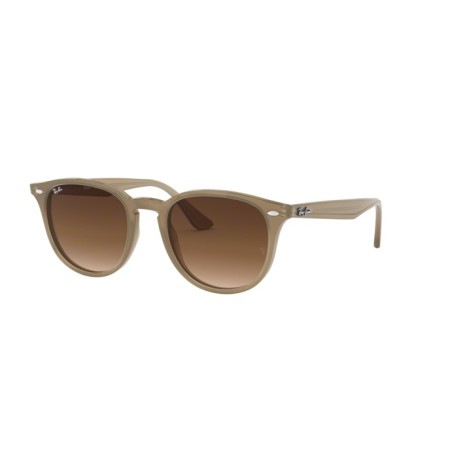 Ray-Ban RB 4259F (616613)