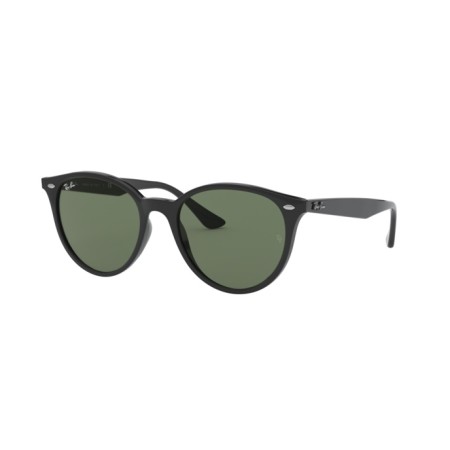 Ray-Ban RB 4305 (601/71)