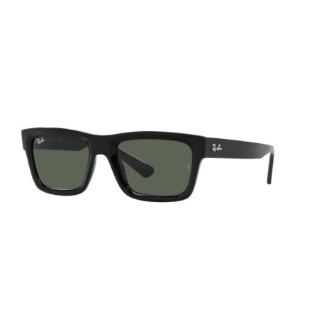 Ray-Ban Warren RB 4396 (667771)