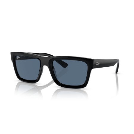 Ray-Ban Warren RB 4396 (667780)