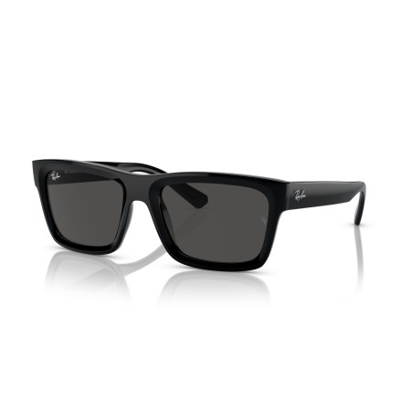 Ray-Ban Warren RB 4396 (667787)