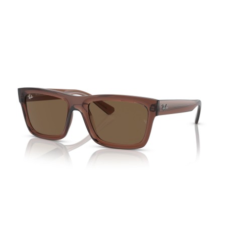 Ray-Ban Warren RB 4396 (667873)