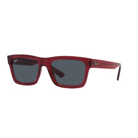 Ray-Ban Warren RB 4396 (667987)