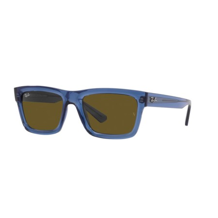 Ray-Ban Warren RB 4396 (668073)