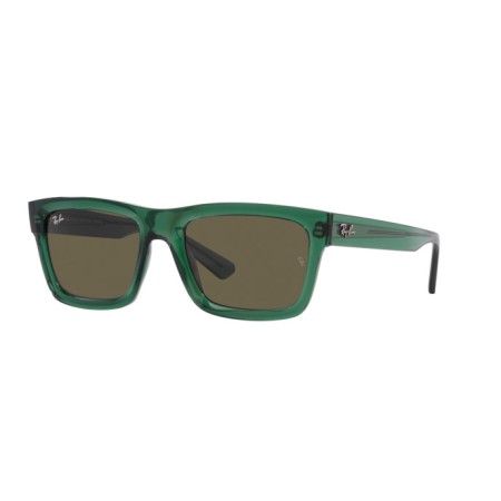 Ray-Ban Warren RB 4396 (6681/3)