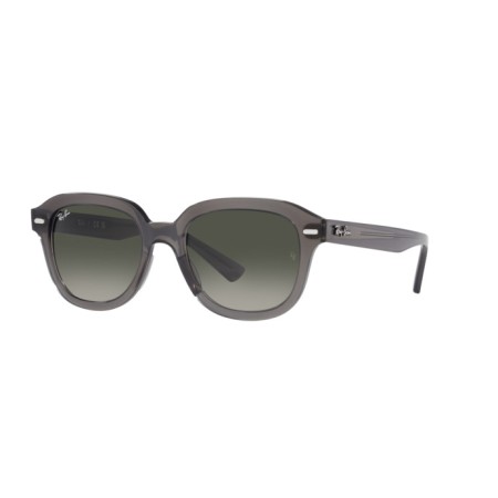 Ray-Ban Erik RB 4398 (667571)
