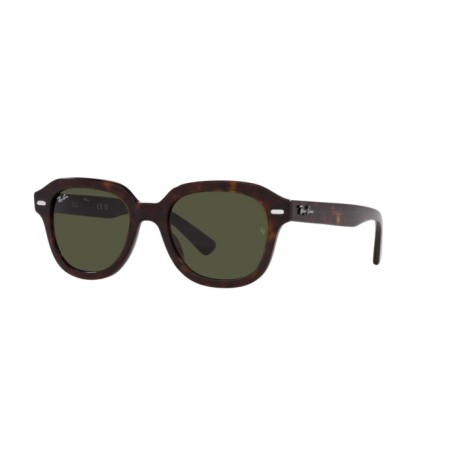 Ray-Ban Erik RB 4398 (902/31)