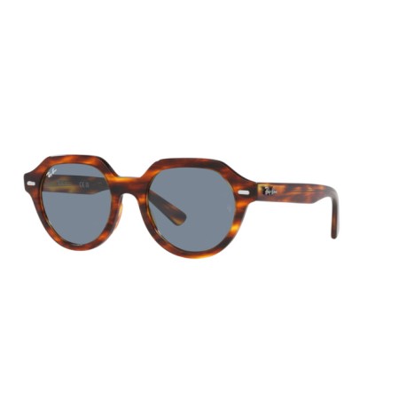 Ray-Ban Gina RB 4399 (954/62)