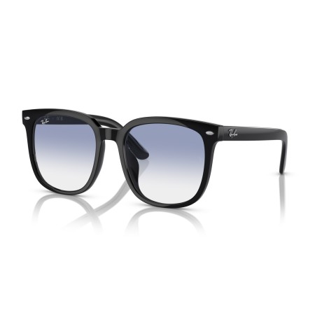 Ray-Ban RB 4401D (601/19)