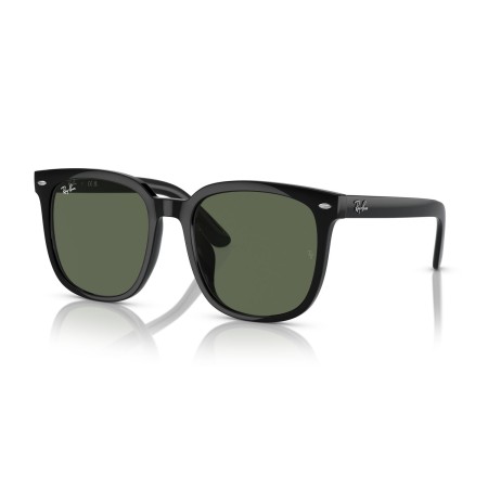 Ray-Ban RB 4401D (601/71)