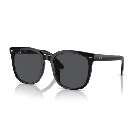 Ray-Ban RB 4401D (601/87)