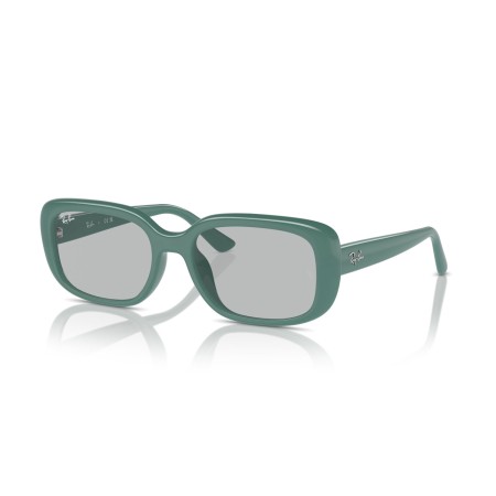 Ray-Ban RB 4421D (676287)