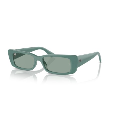 Ray-Ban Teru RB 4425 (676282)