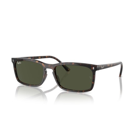 Ray-Ban RB 4435 (902/31)